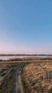 Ideas for Peaceful Weekend Mornings to Refresh Your Mind
